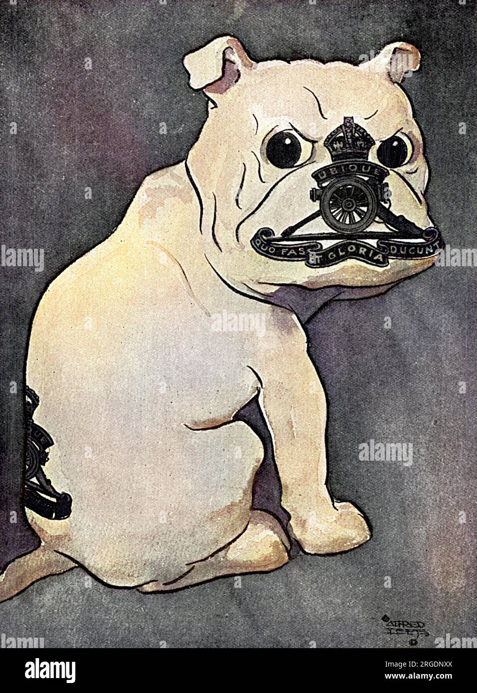 Masbadges!  Regimental mascots and badges in one!  No. 10 The bulldog of the Royal Artillery. Stock Photo