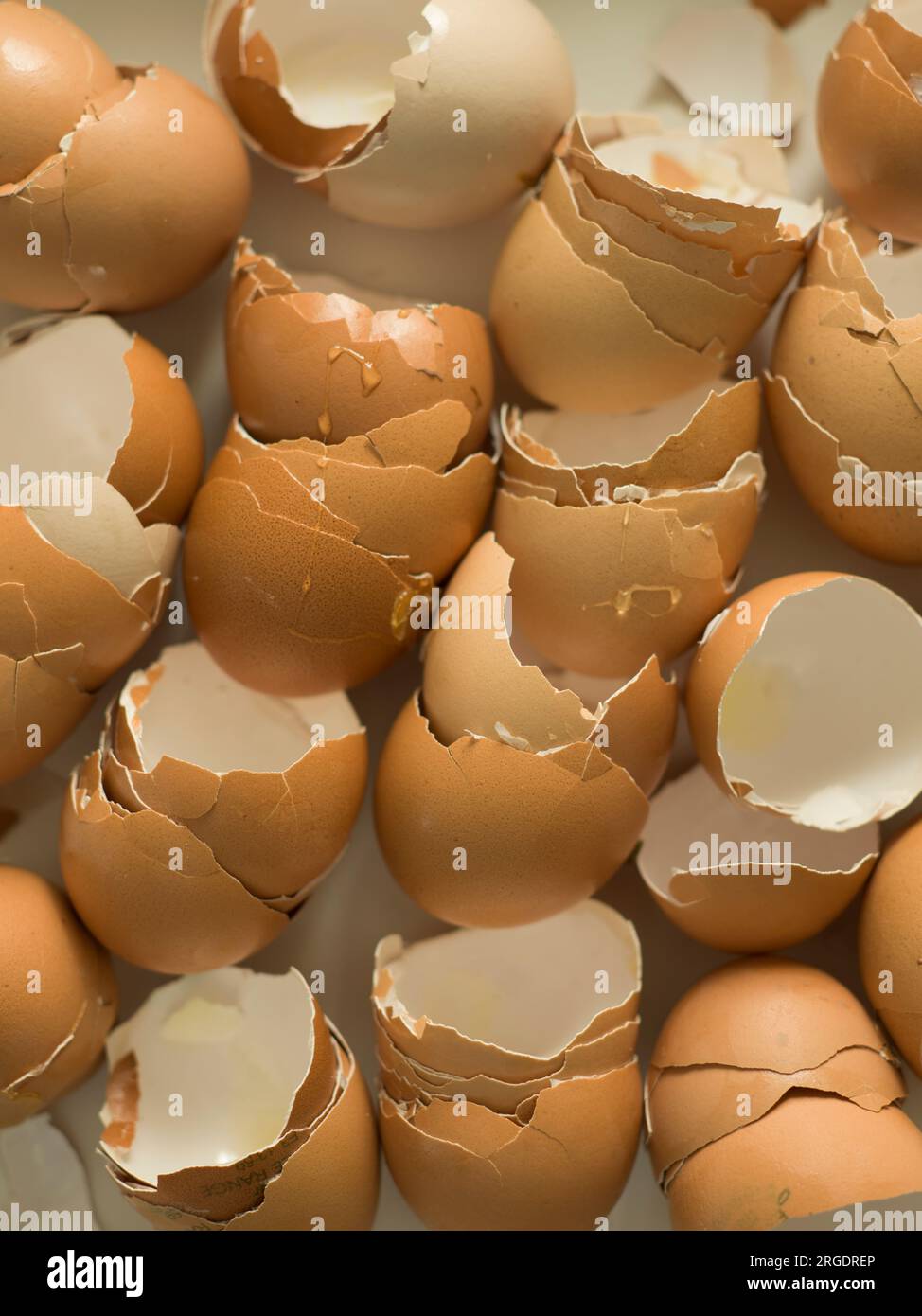Broken egg shells Stock Photo