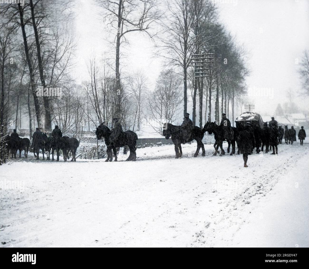 British transport horses being taken for water, in the snow on the Western Front during World War One. Stock Photo