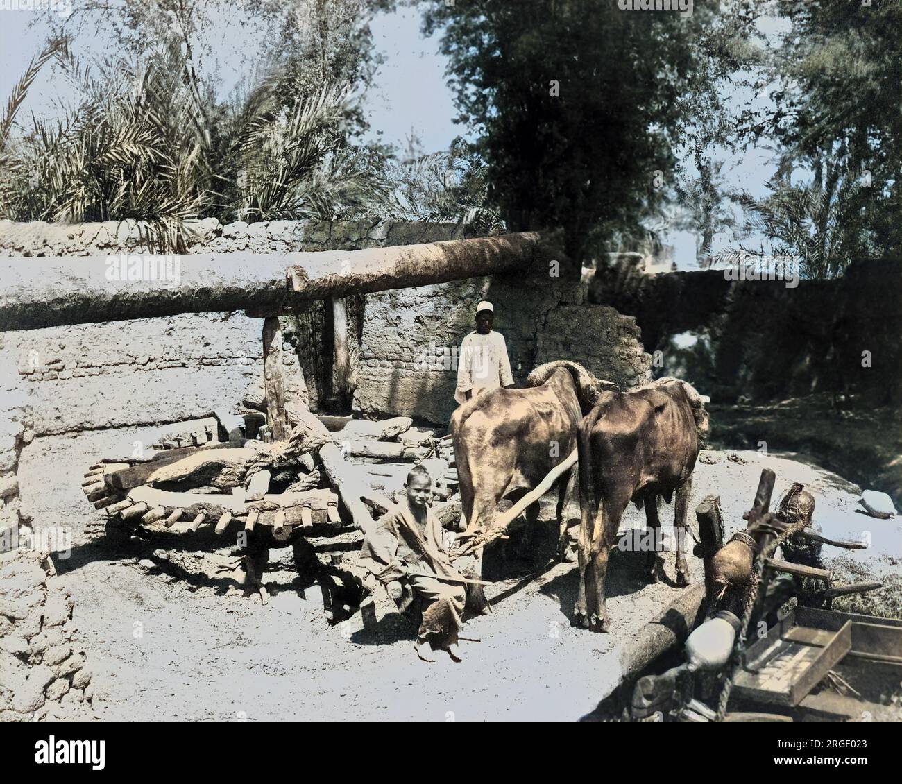 Bullockdriven water pump, Egypt Stock Photo Alamy