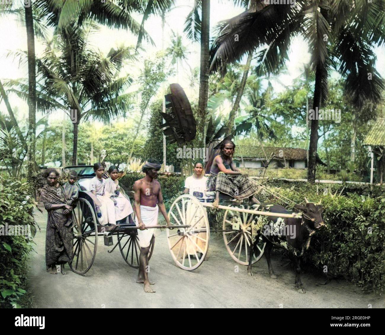 Modes of transport, Ceylon (Sri Lanka). Stock Photo