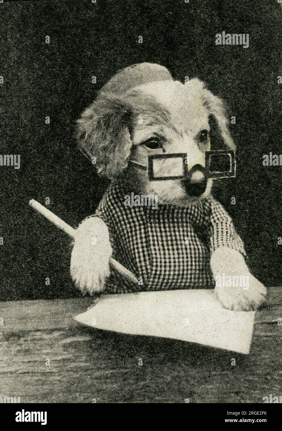 Cute Puppies Tax Collector Dog Stock Photo Alamy