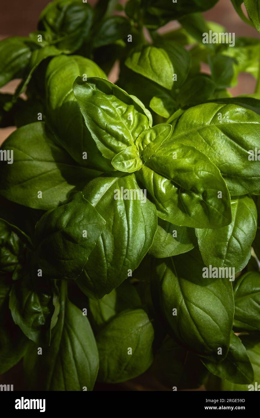 Healthy aroma hi-res stock photography and images - Alamy