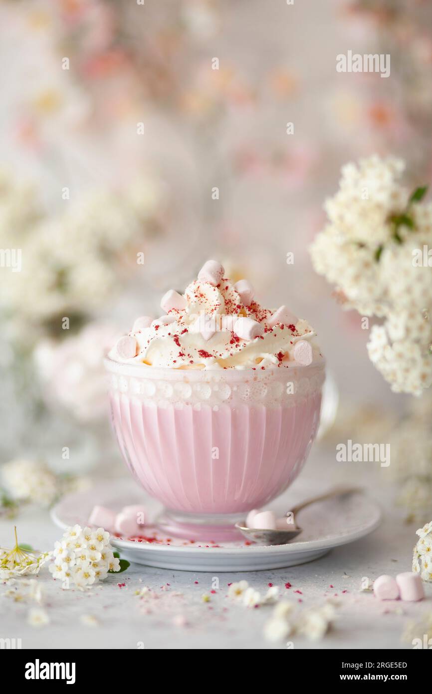 A glass cup with pink hot chocolate drink topped with whipped cream and mini marshmallows. Stock Photo
