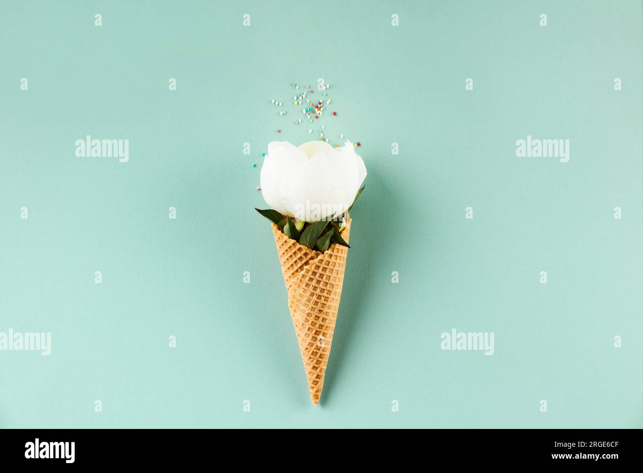 Creative still life of waffle cone with peony flower over pastel light blue background, top view. Summer minimal concept Stock Photo