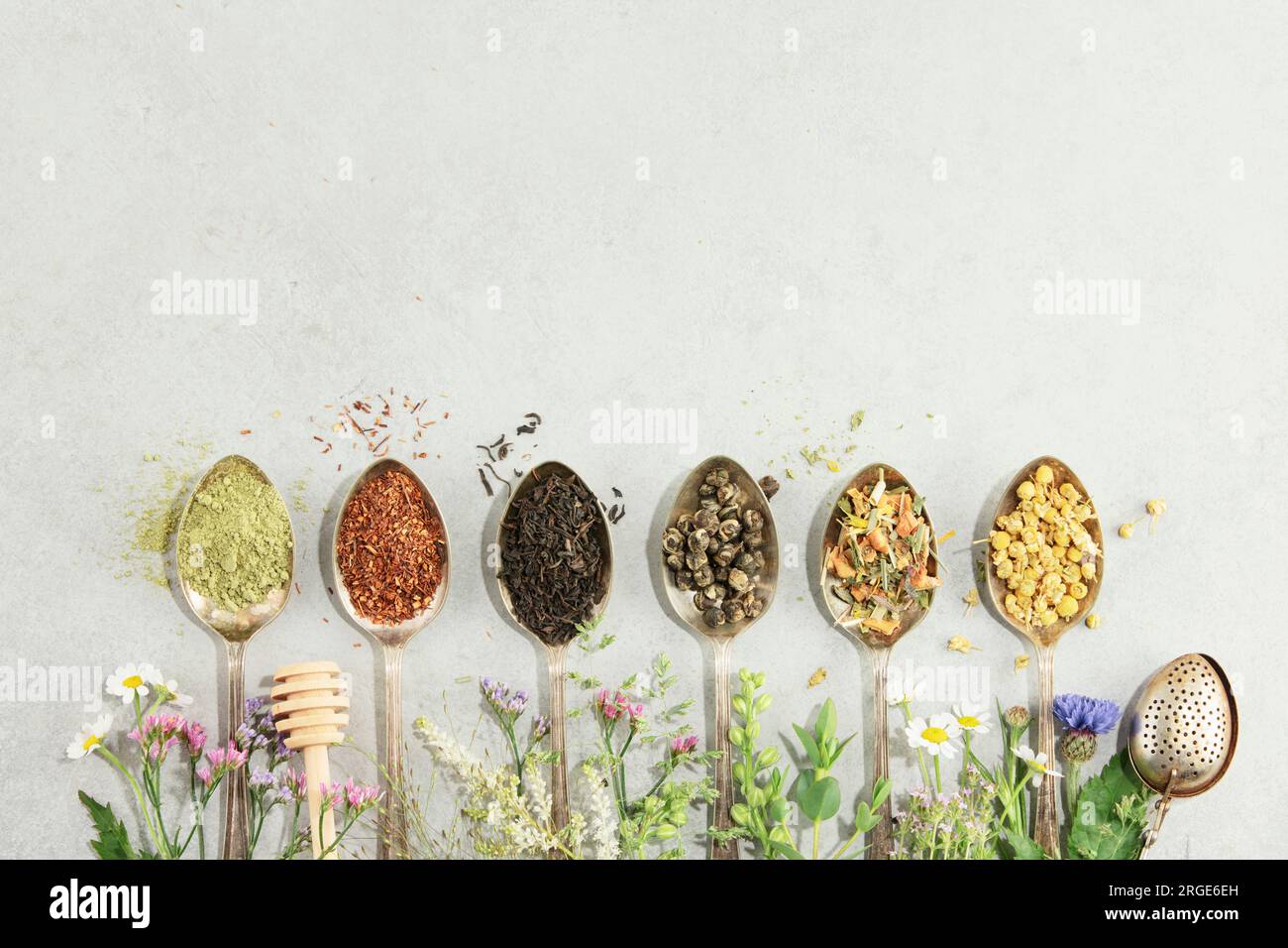 Different types of tea in vintage spoons. and Healing herbs  Flat lay, top view on concrete background. Matcha, rooibos, black, green, herbal mix and Stock Photo