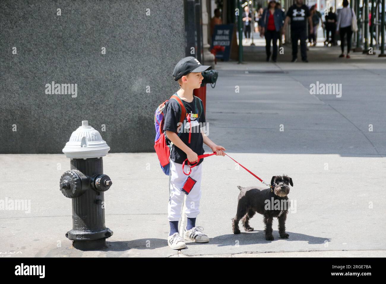 Flat Iron District, New York City Stock Photo Alamy