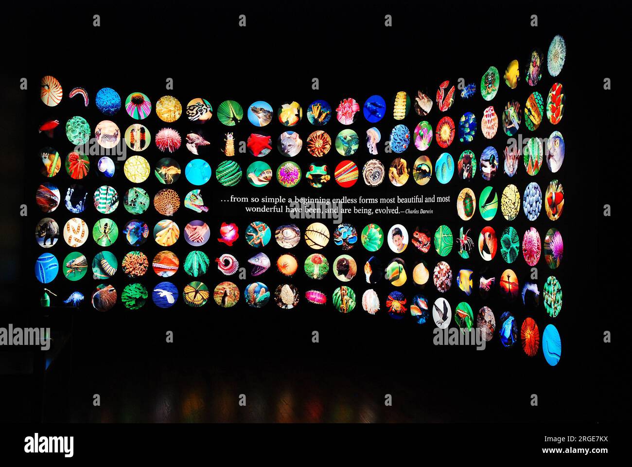 A group of photos in a circle shape show different lifeforms at the