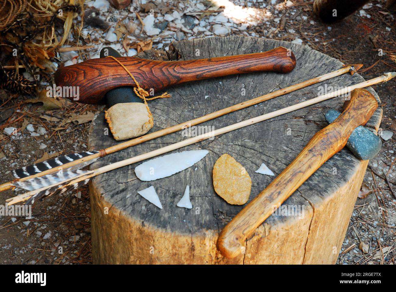 Powhatan tools are ion display to demonstrate life of the Native Americans near Jamestown Virginia prior to English colonization Stock Photo