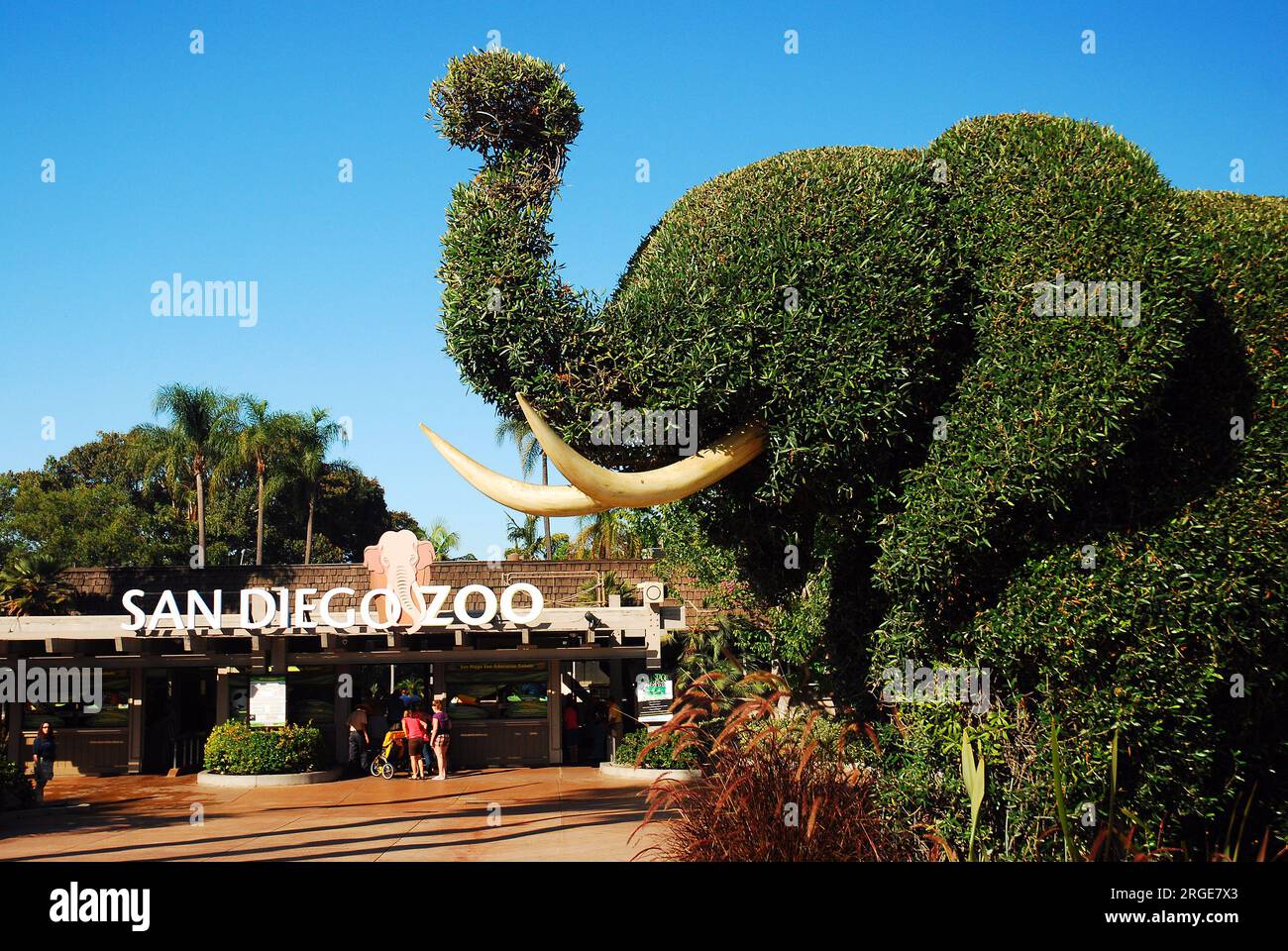 A topiary elephant with a raised trunk  at the entrance to the San Diego Zoo on a sunny day Stock Photo