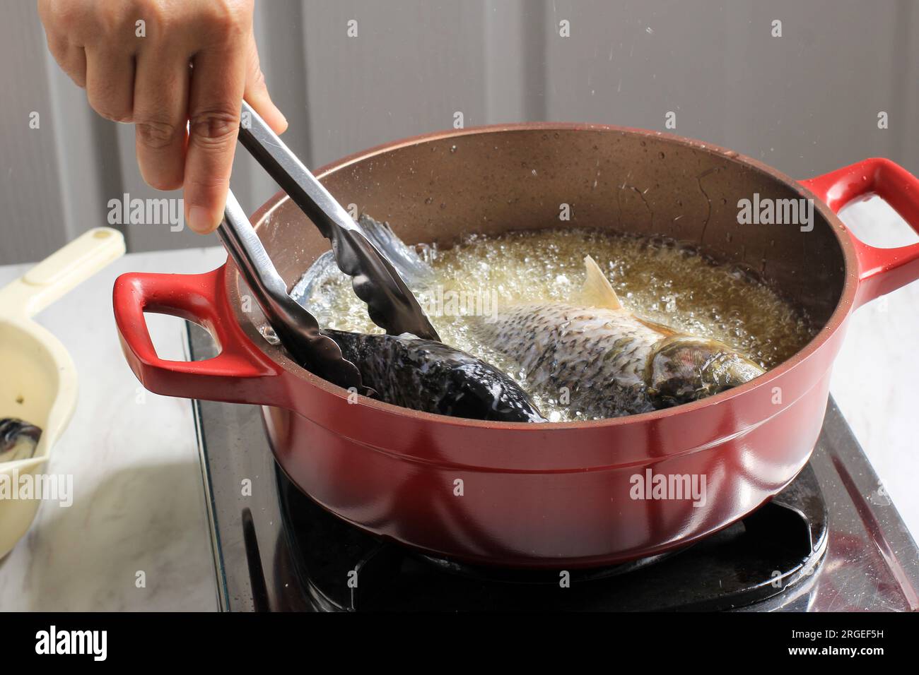 Female Hand using Stainless Tongs, Process of Frying River Carp Fish in