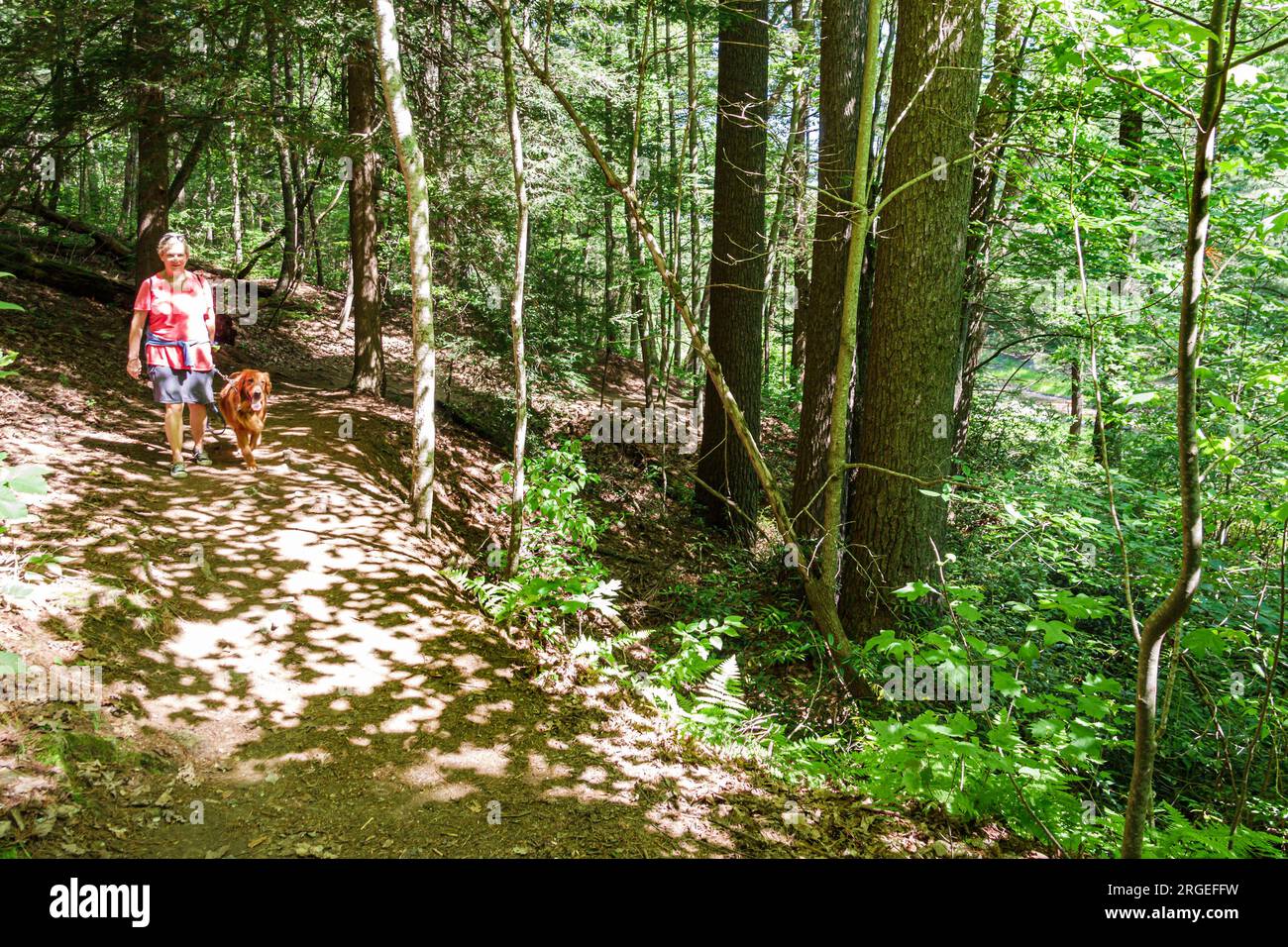 Flat Rock North Carolina,Appalachian Mountains,Carl Sandburg Home National Historic Site,woods forest nature trail,walking dog pet,woman women lady fe Stock Photo