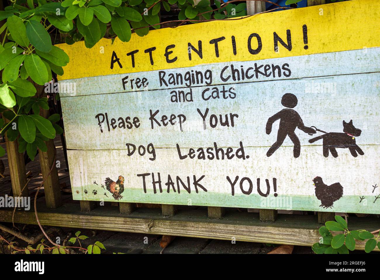 Flat Rock North Carolina,Flat Rock Village Bakery,free range ranging