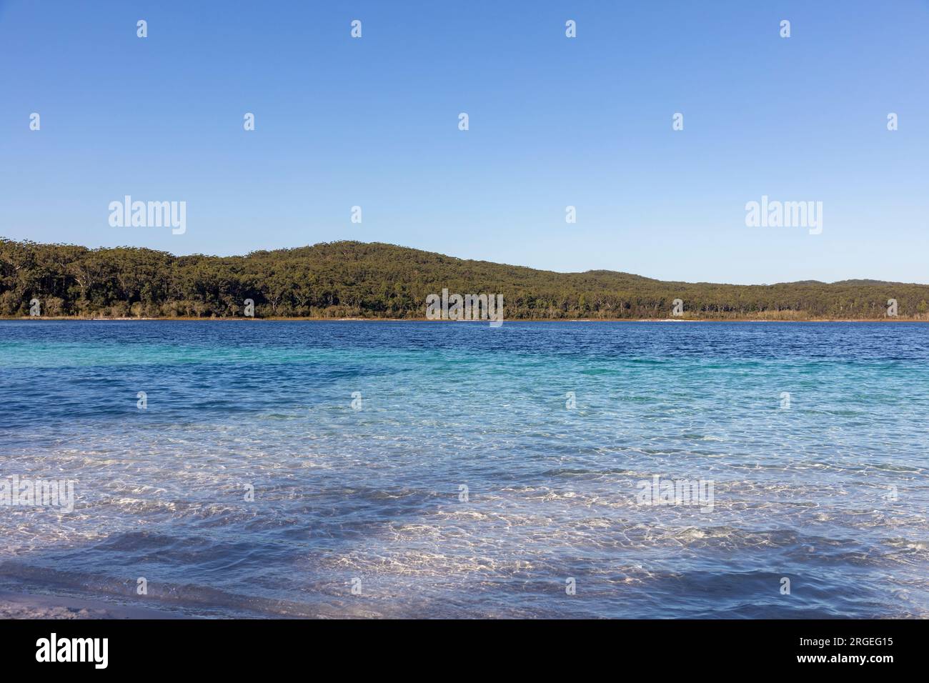 Fraser Island K'gari and Lake Mckenzie Boorangoora a perched southern lake popular with tourists for its crystal clear water and white sand,Queensland Stock Photo