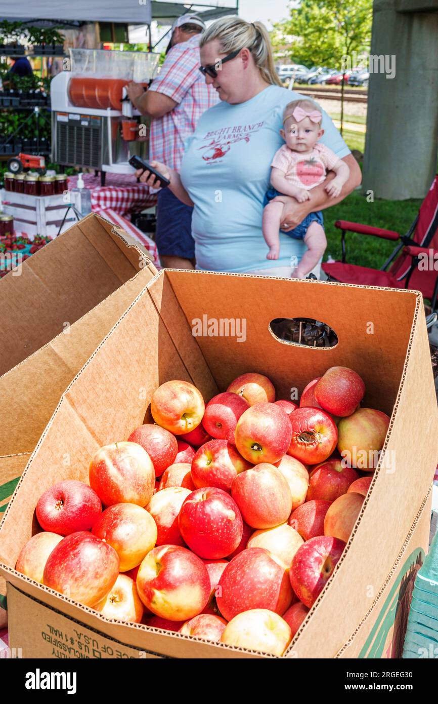 Hendersonville North Carolina,Hendersonville Farmers Market,Maple Street,apples box,woman women lady female,adult,resident,holding baby girl,produce a Stock Photo