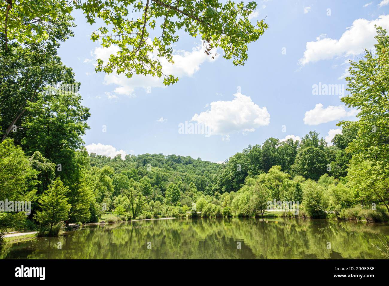 Laurel Park North Carolina,Rhododendron Lake Nature Park,Appalachian