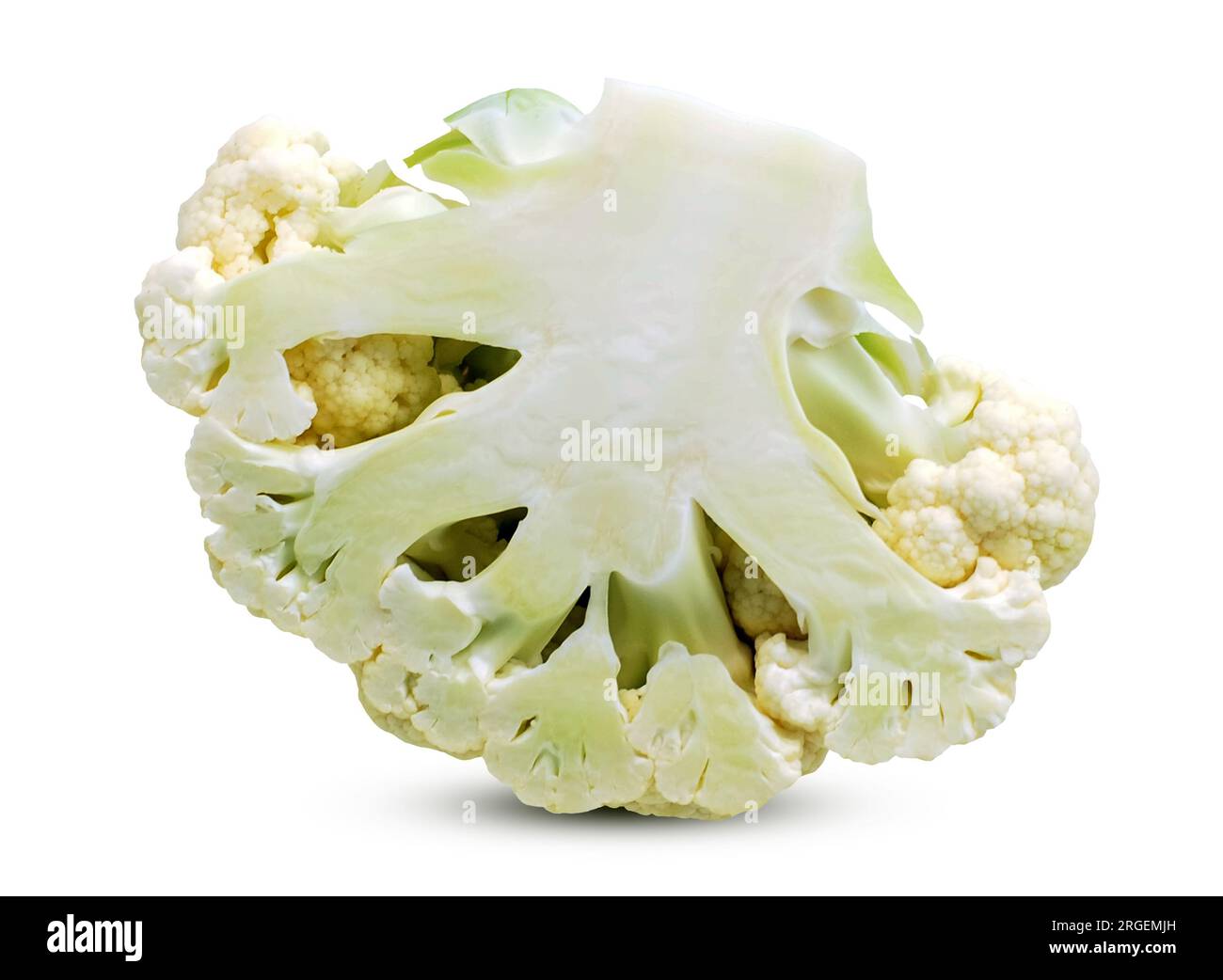 Single cauliflower isolated on whiter background Stock Photo