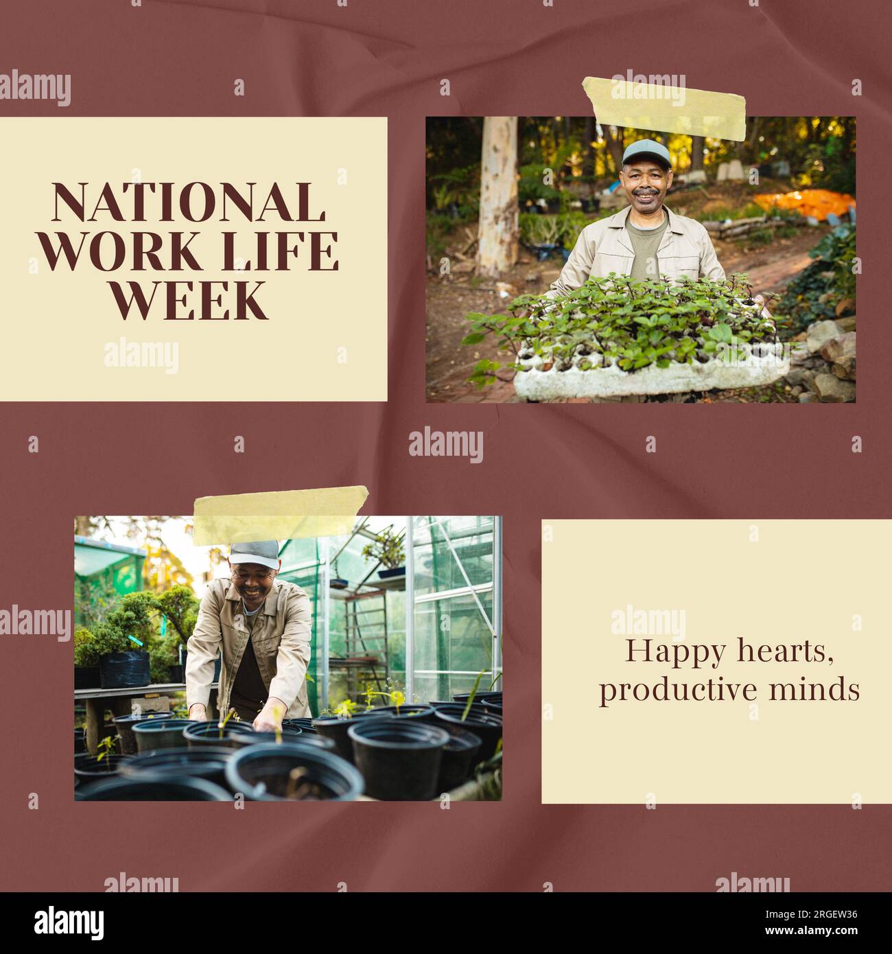 National work life week text with happy biracial holding seedlings and ...