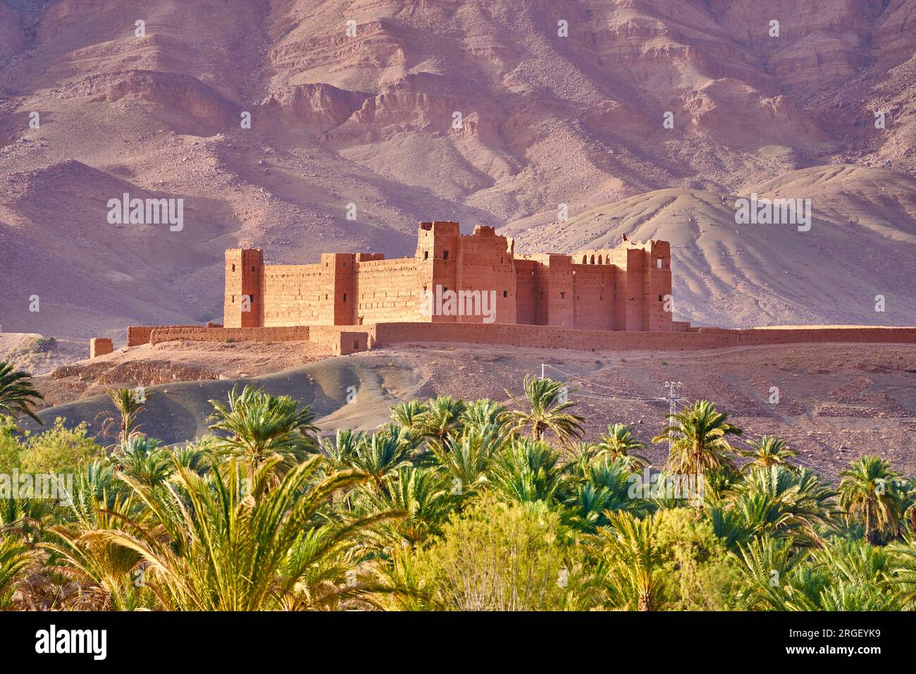 Tamnougalt Kasbah near Agdz, Draa Valley, Morocco, Africa Stock Photo