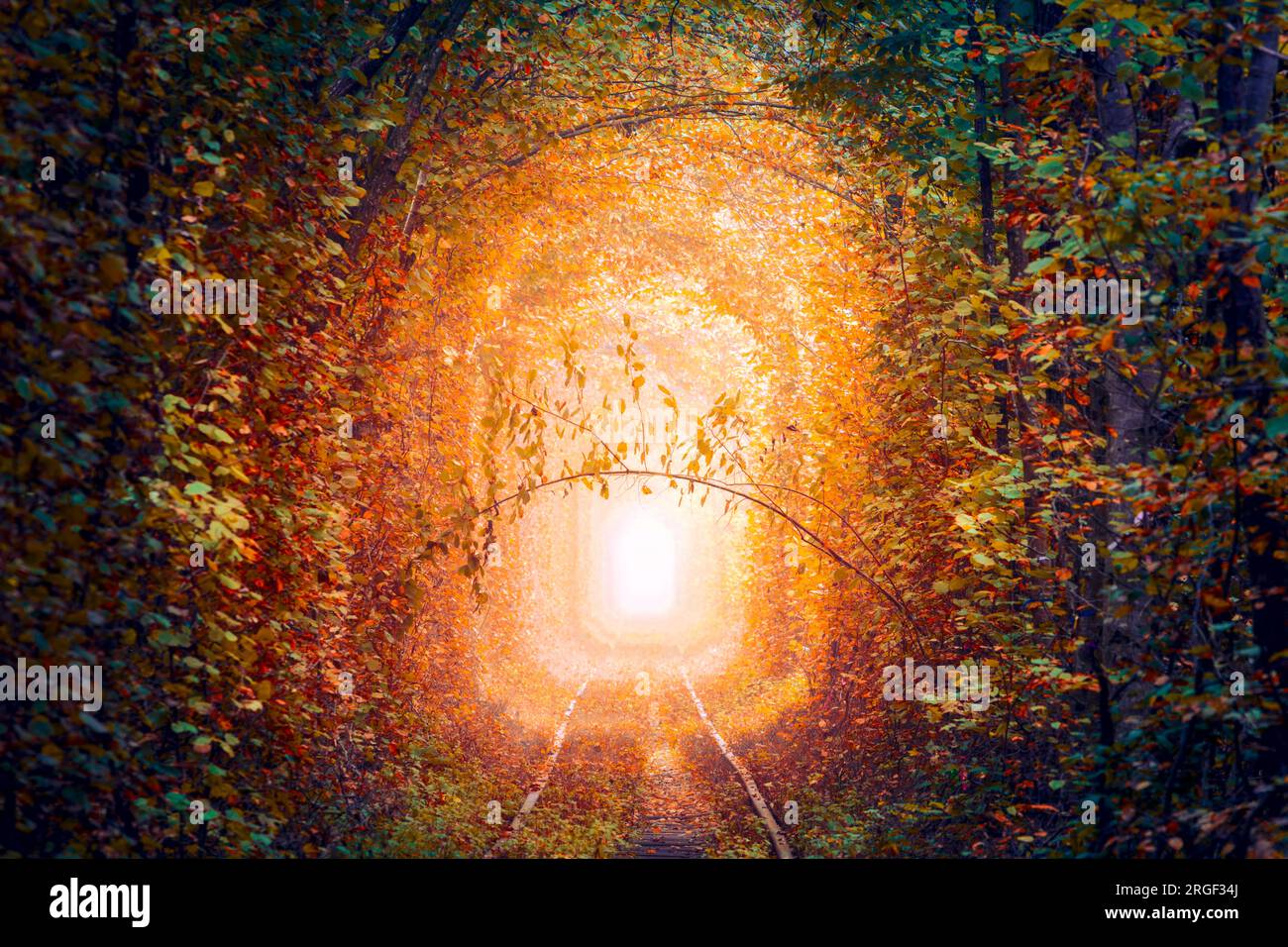 Magical Autumn Trees Tunnel with old railway Tunnel of Love. Natural