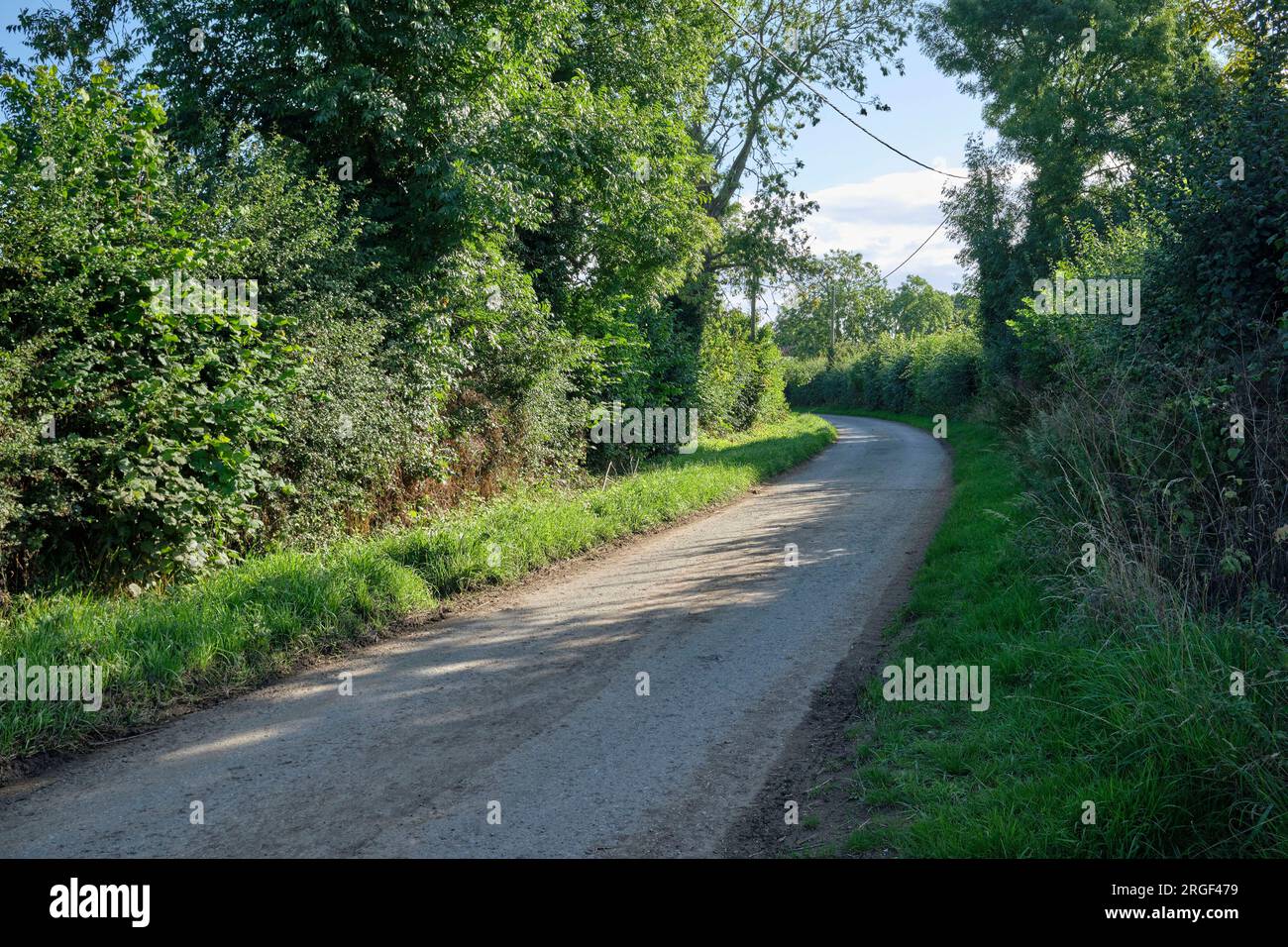 An empty single track country lane, Rural community of Womersley, North Yorkshire, northern England, UK Stock Photo