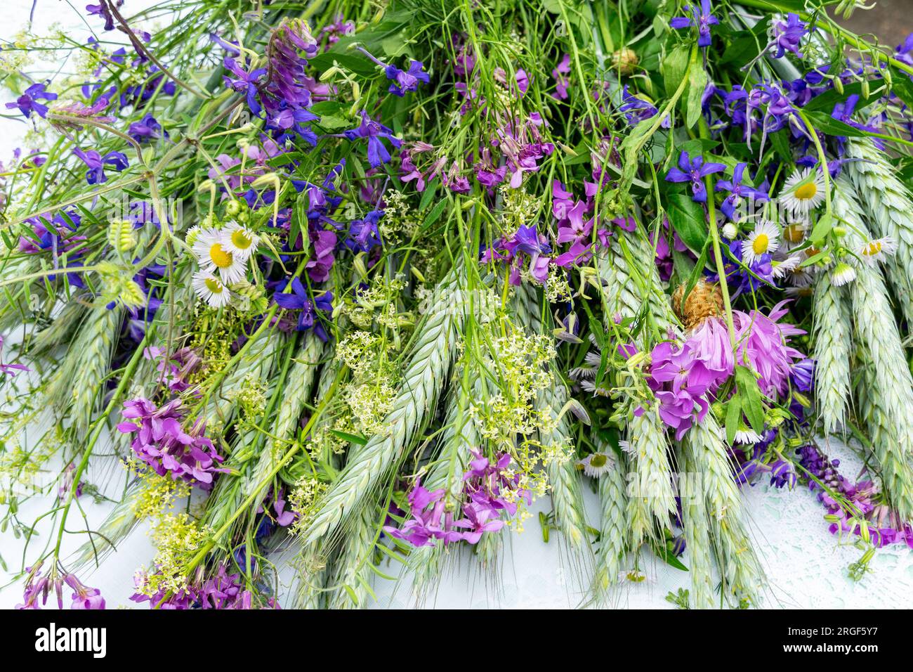 Variety of wild flowers hi-res stock photography and images - Alamy
