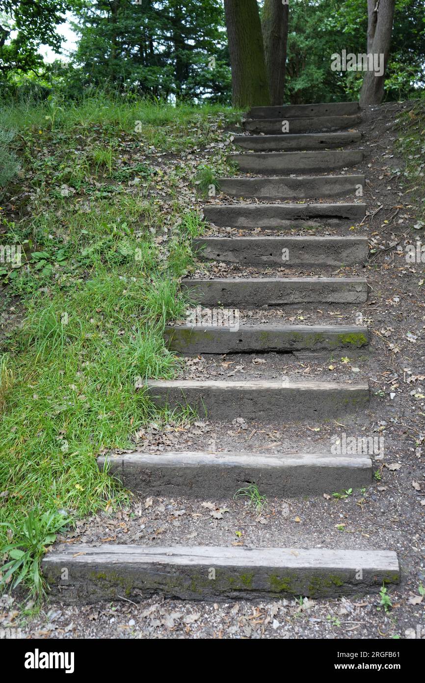 Rustic wooden steps on a forest walk in Derbyshire, UK Stock Photo - Alamy