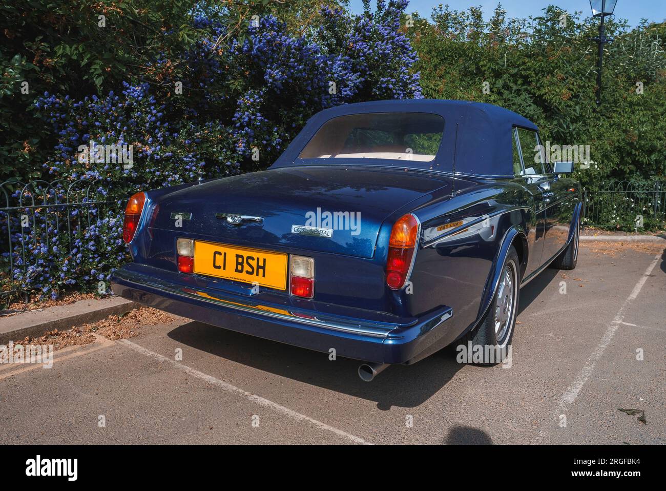 Parked car with flower hi-res stock photography and images - Alamy