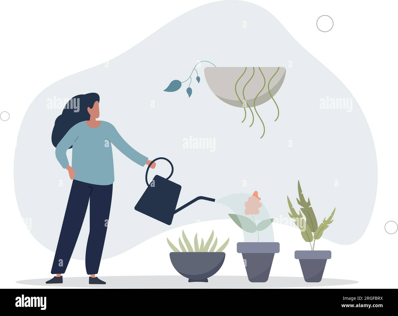 Planting indoors as female hobby with plant growing.Botany process with