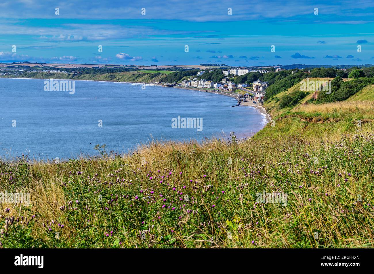 View towards Filey from Filey Brigg on a sunny morning in North Yorkshire Stock Photo