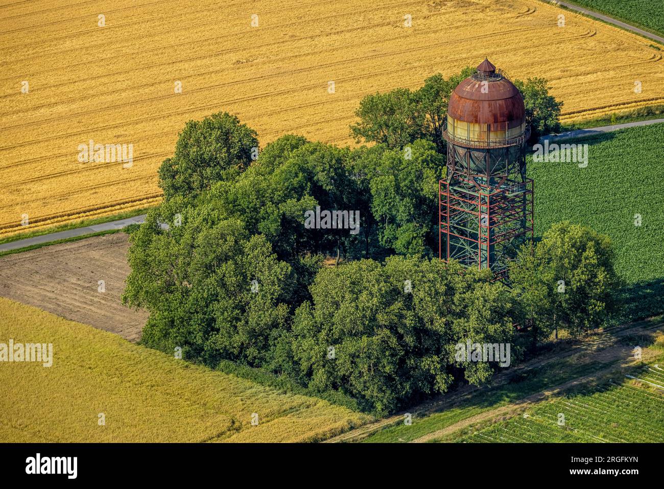Hostedde hires stock photography and images Alamy