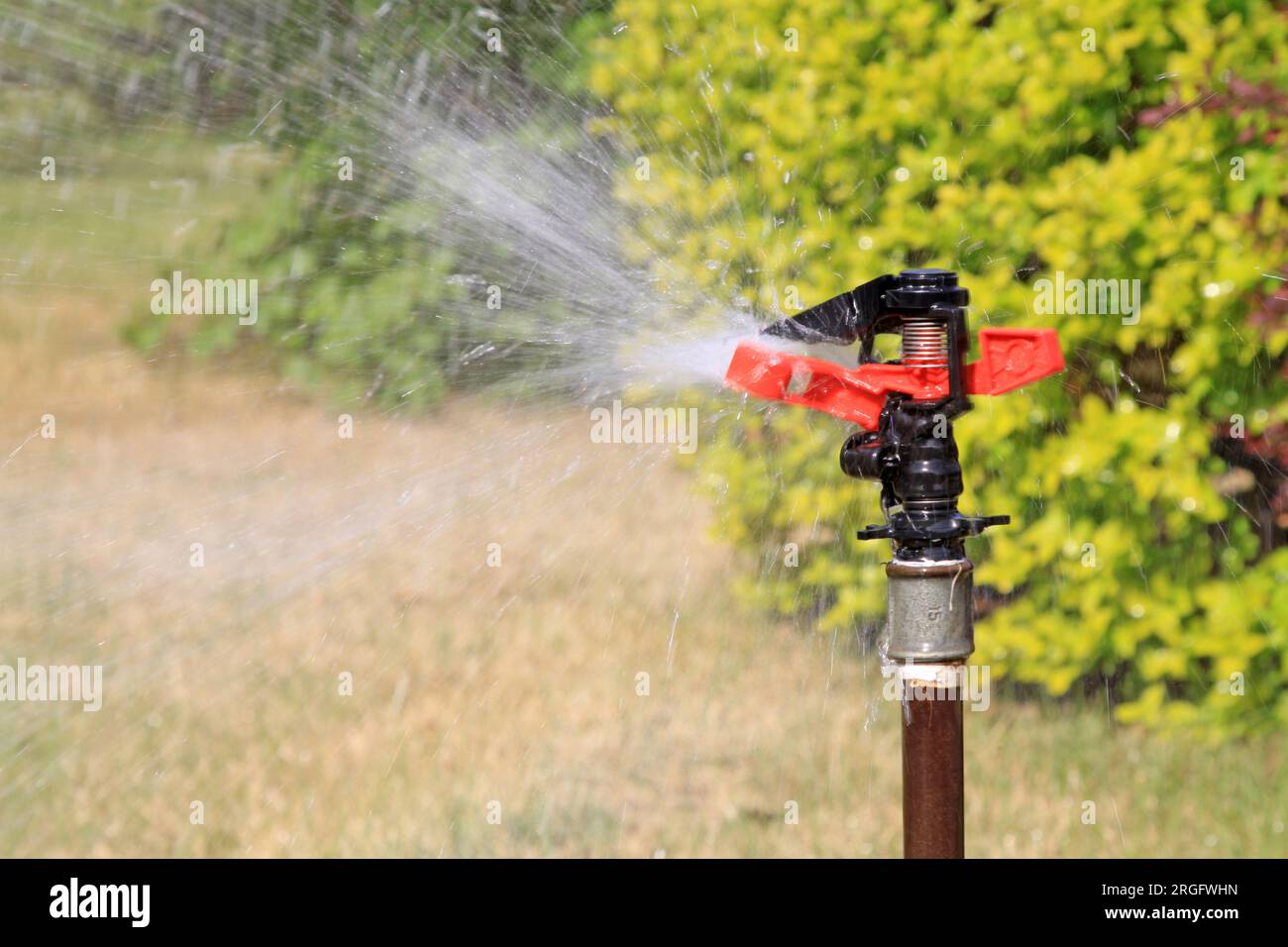 spray irrigation in north china Stock Photo Alamy