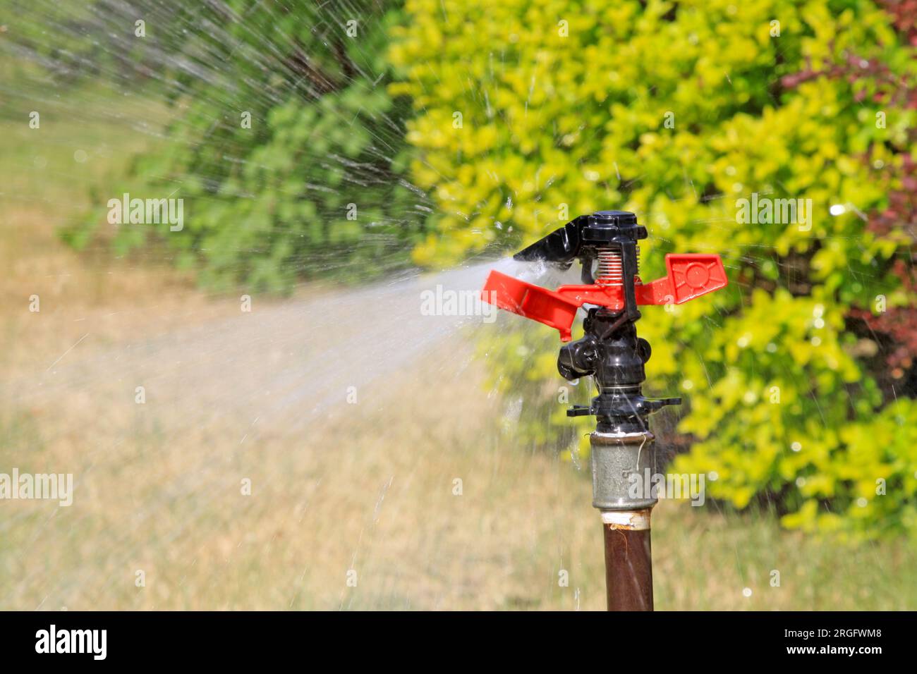 spray irrigation in north china Stock Photo Alamy