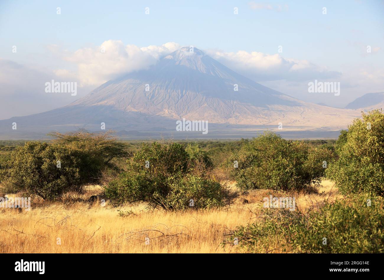 Ol Doinyo Lengai Mountain in the Savannah of Tanzania, East Africa . Stock Photo