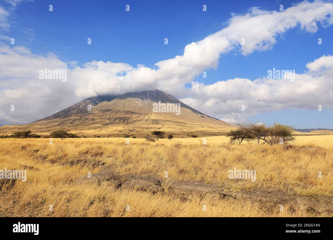 Ol Doinyo Lengai Mountain in the Savannah of Tanzania, East Africa . Stock Photo