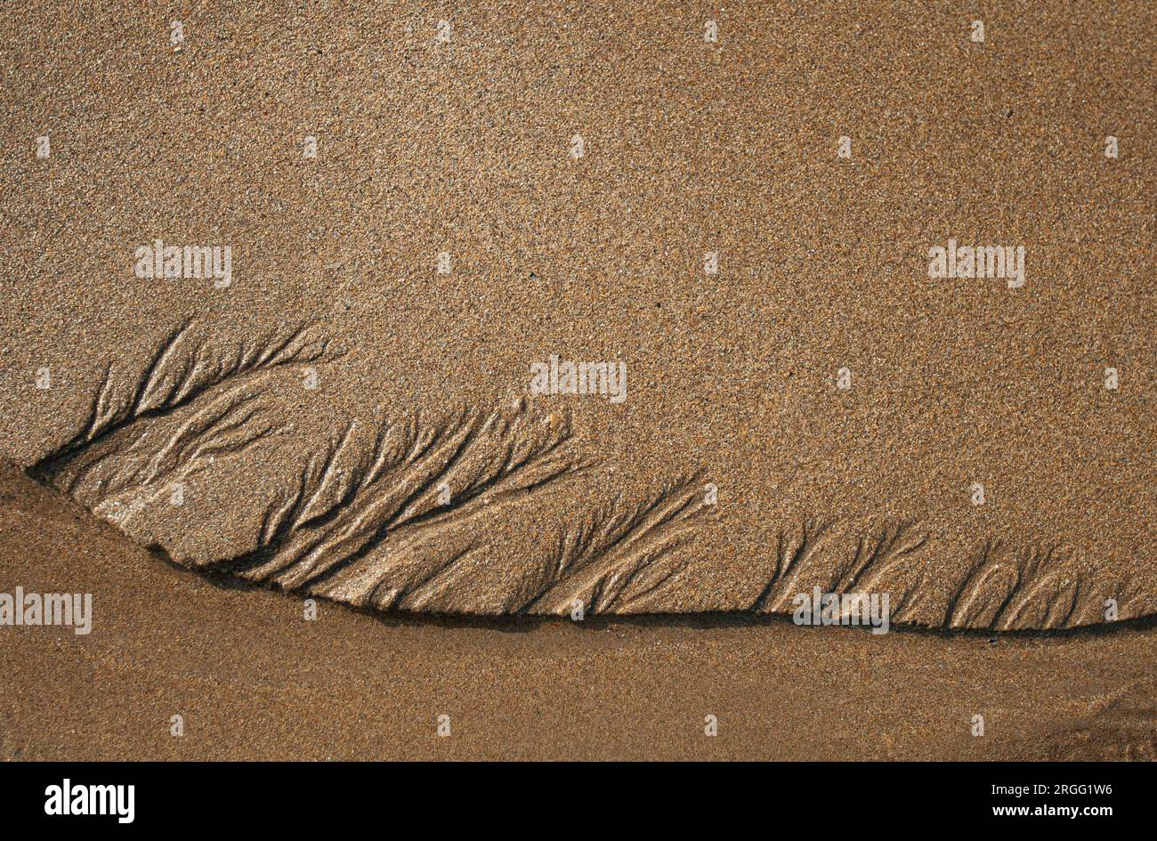 Erosion of the sand on a beach in north Spain Stock Photo