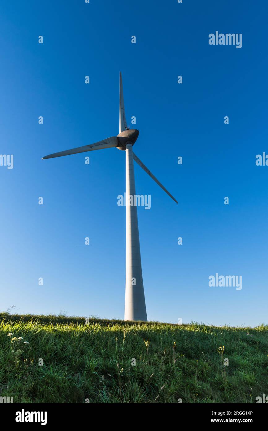 Wind turbine behind the dyke on a summer day, vertical Stock Photo