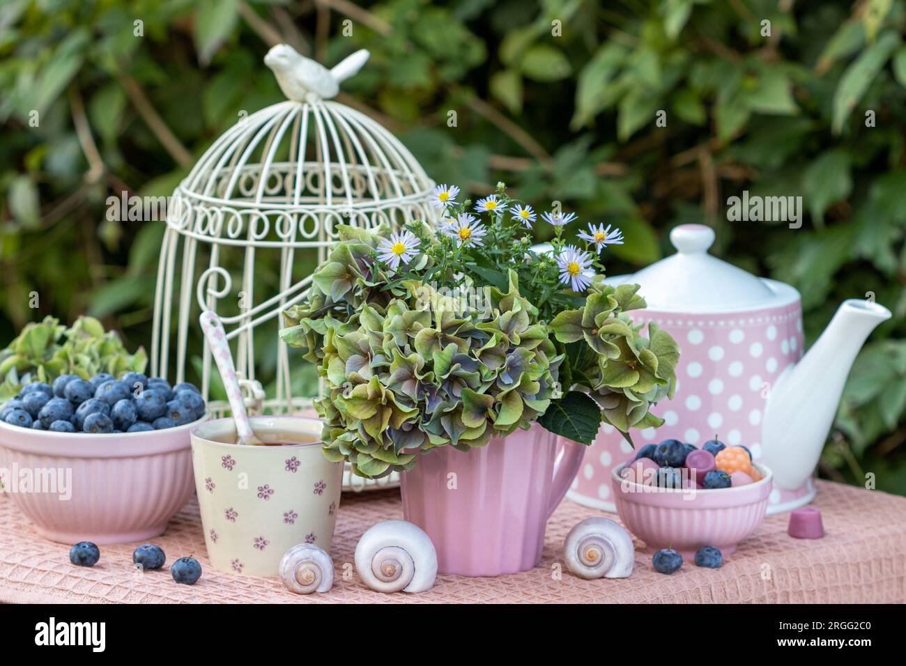 table arrangement with hydrangea flowers, fresh blueberries and teaware Stock Photo