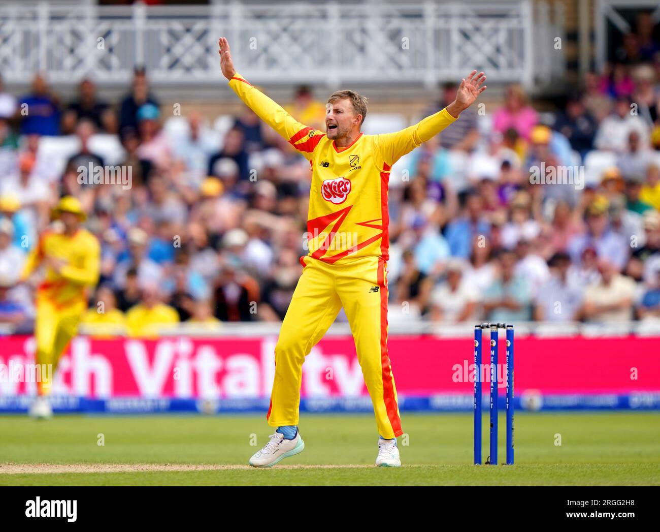 Joe root trent rockets hi-res stock photography and images - Alamy