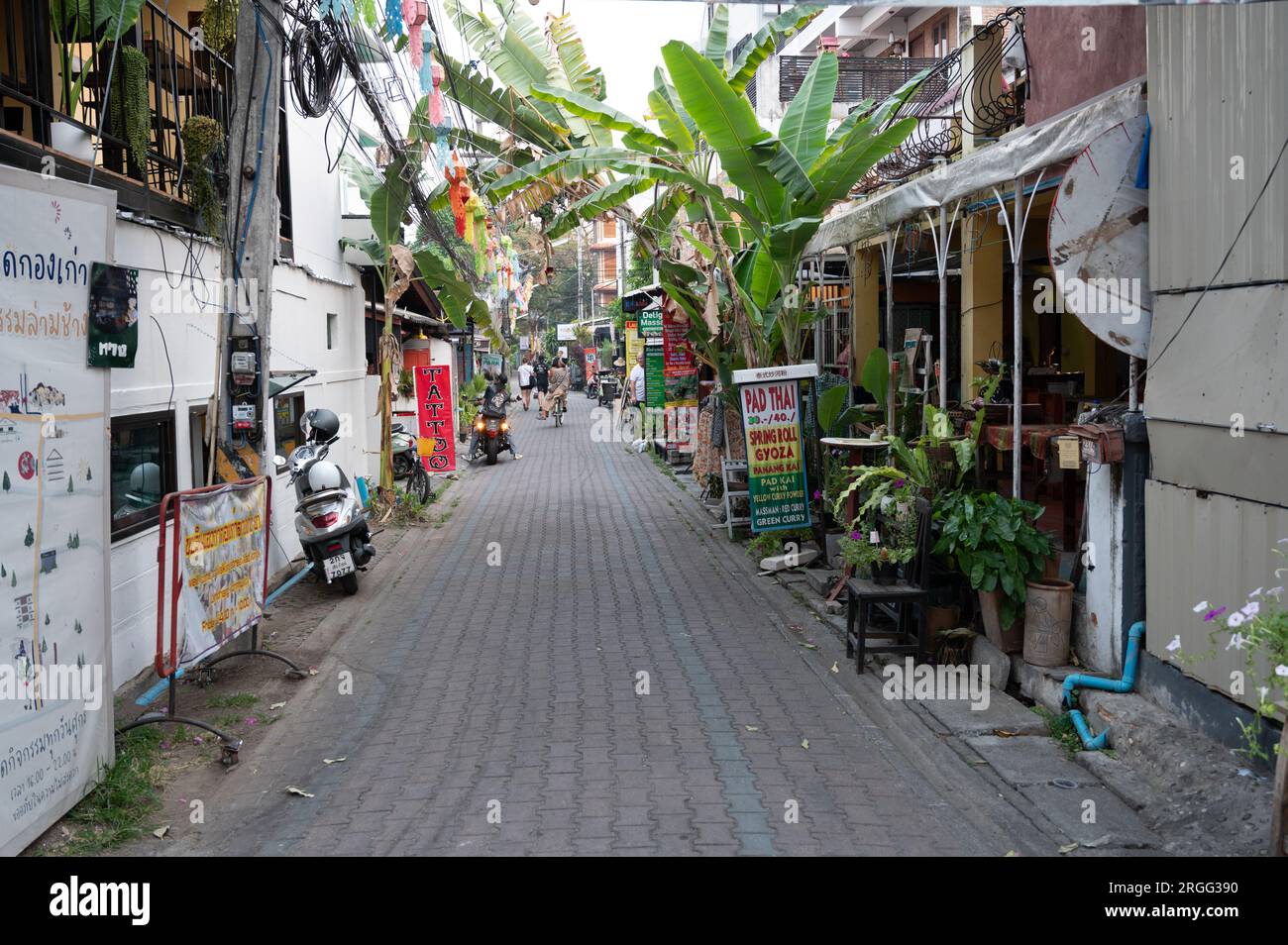 Kad Kongkao -Walking street, Chiang mai, Thailand Stock Photo
