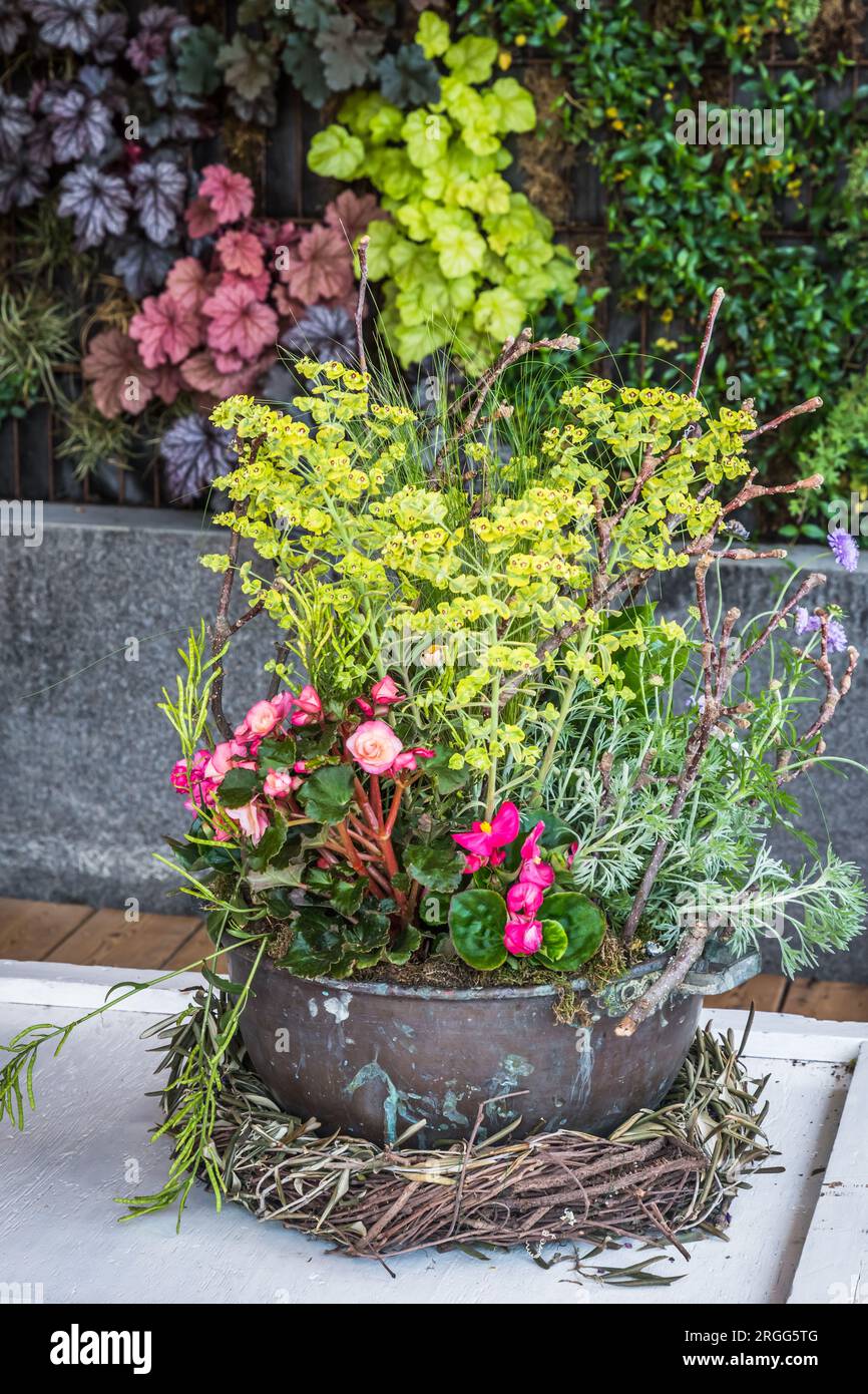 Beautiful colorful potted plants and flowers in a rusty metal flower pot for balcony, patio or terrace, vertical Stock Photo
