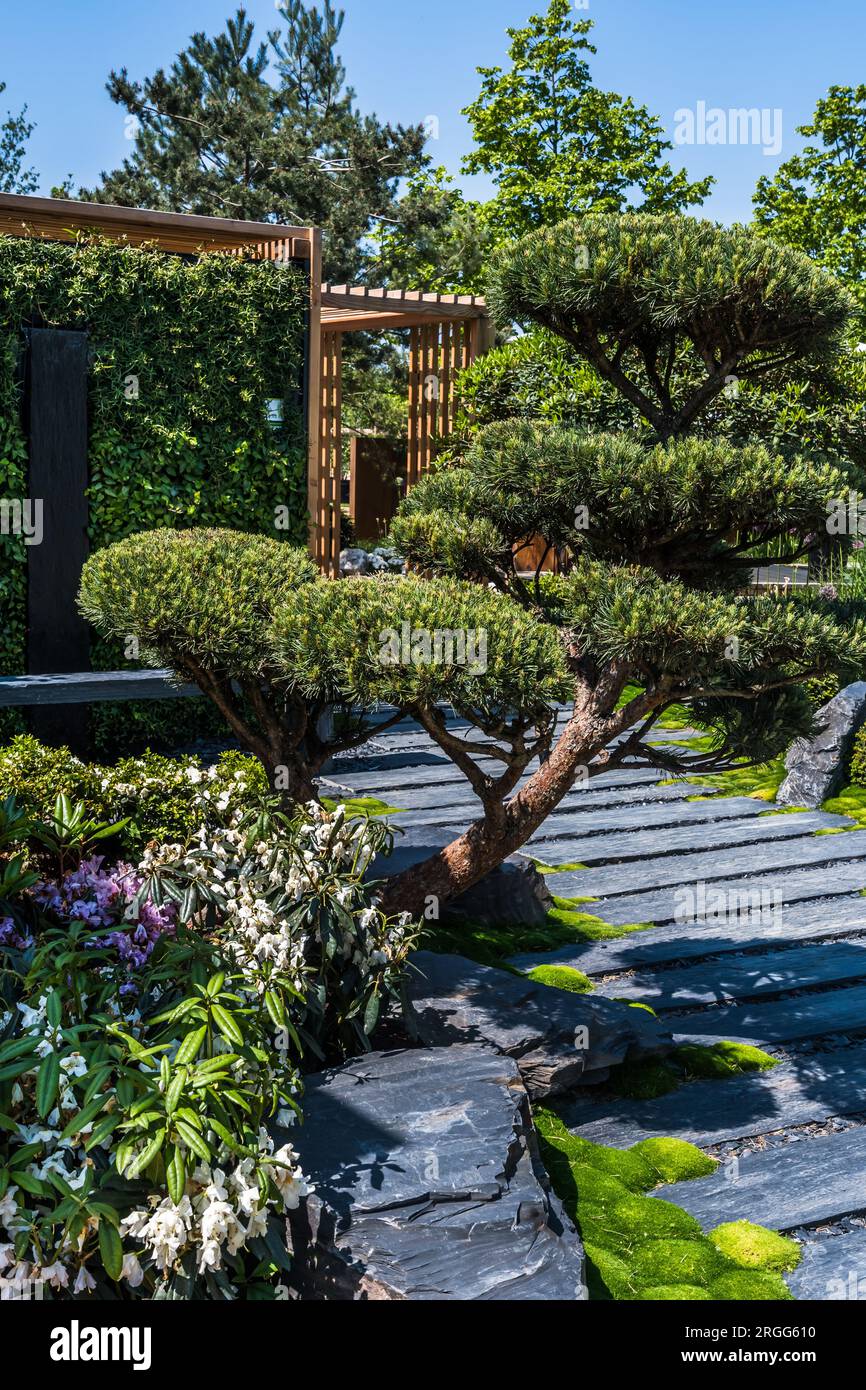 jardin zen et japonais - Asian - Garden - Nantes - by Concept