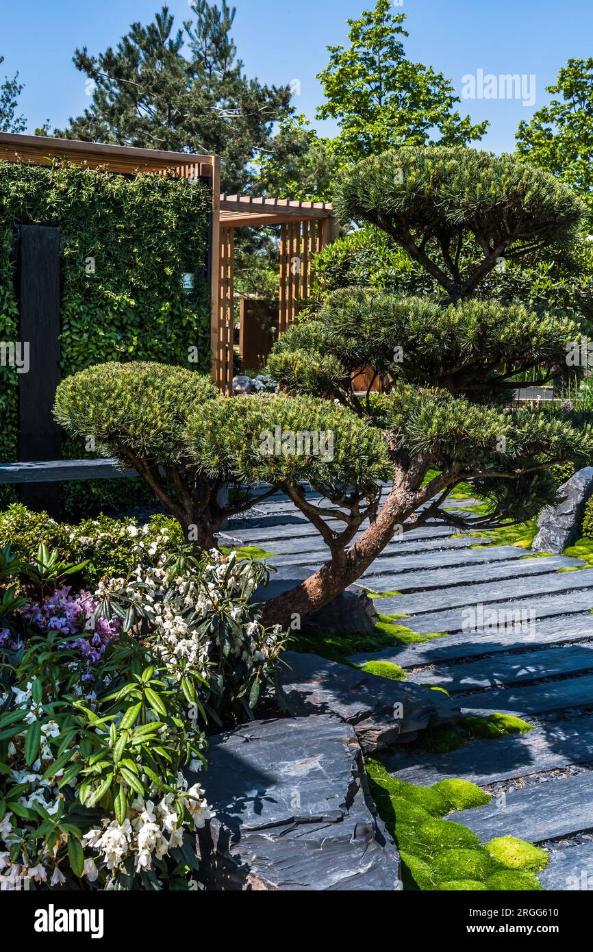 Japanese garden with slate path with bark mulch, native plants and wooden patio. Landscaping and