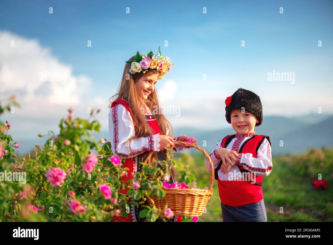 Bulgarian Rose Damascena field, Roses valley Kazanlak, Bulgaria. Boy and girl in ethnic folklore clothing harvesting oil-bearing roses at sunrise. Stock Photo