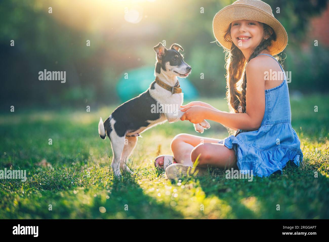 Happy girl playing with cute playful puppy little dog outdoor on a sunny day in a park Stock Photo