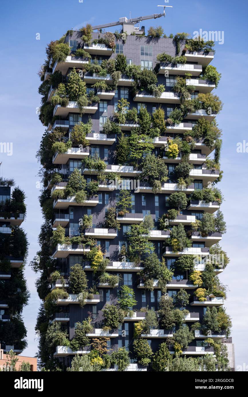 View of the balconies and terraces of Bosco Verticale, full of green plants. Spring time. 08–08-2023. Milan, Porta Nuova skyscraper residences, Italy. Stock Photo