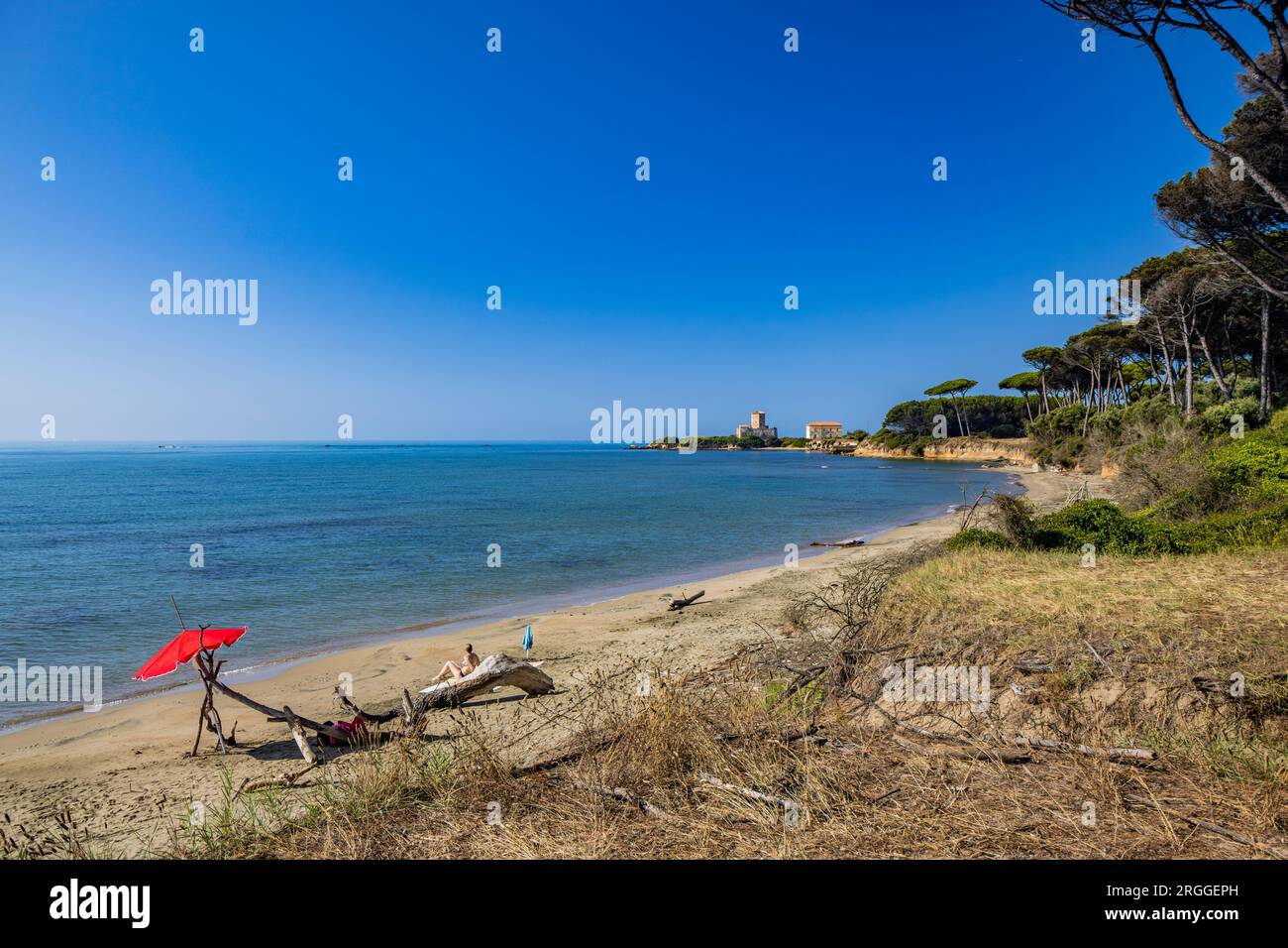 The Torre Astura nature reserve, in Nettuno. The large pine forest that leads to the beach and the ancient castle on the sea, with the watchtower. The Stock Photo