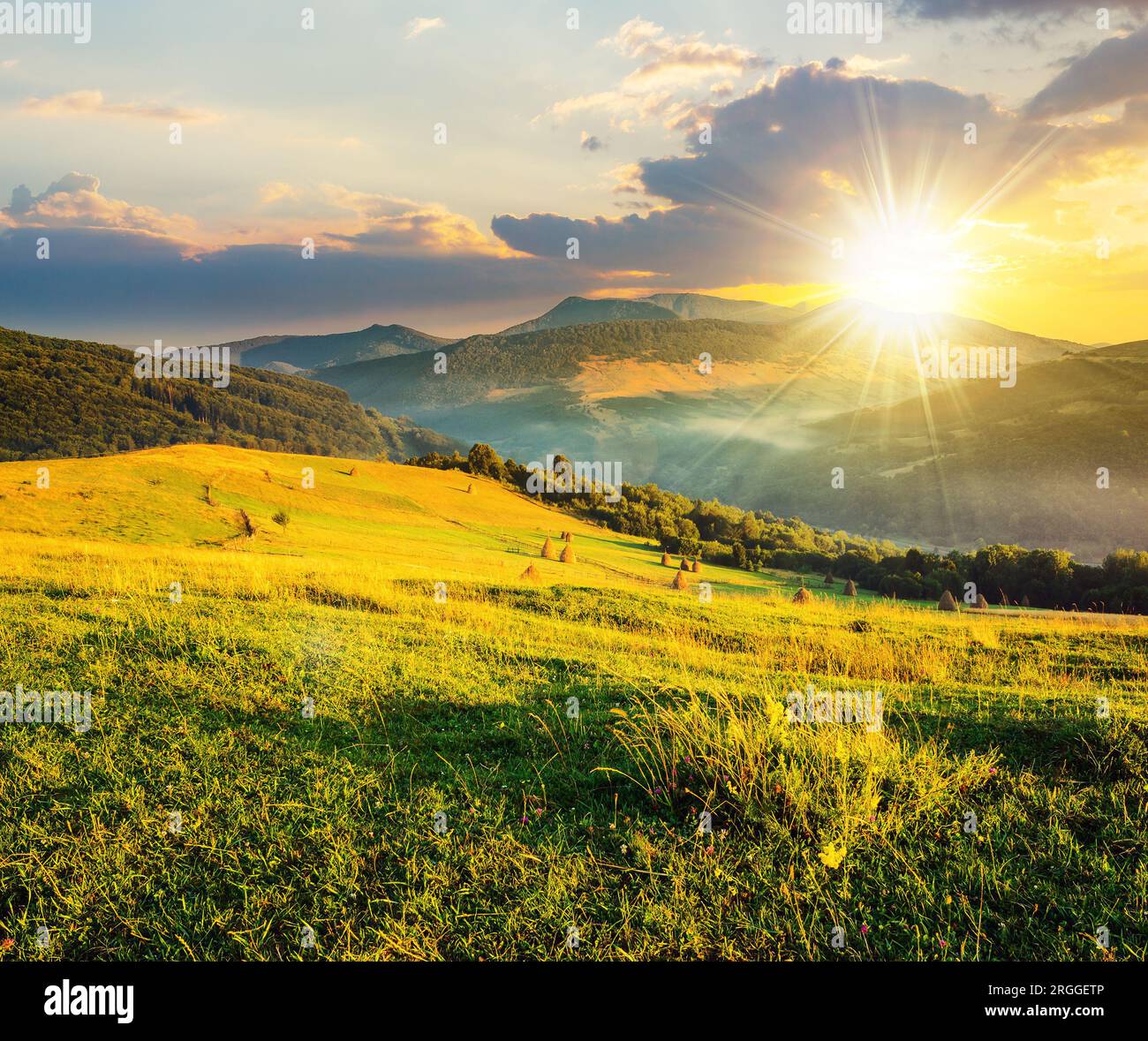 haystacks on the agricultural field near the forest at sunset. rural landscape at the foot of the mountain. beautiful countryside scenery in evening l Stock Photo