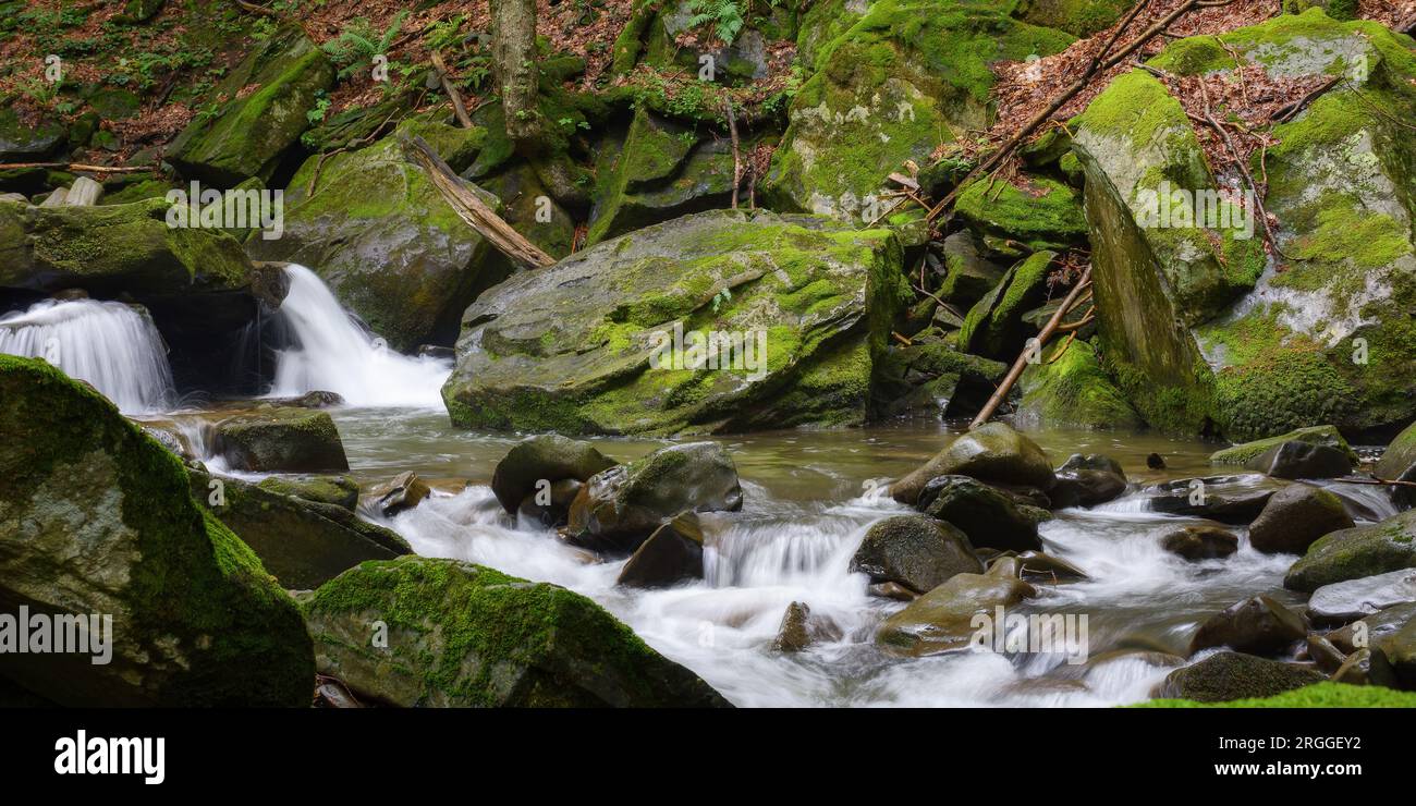 moss covered rocks in the creek. outdoor nature scenery of carpathian woodland Stock Photo