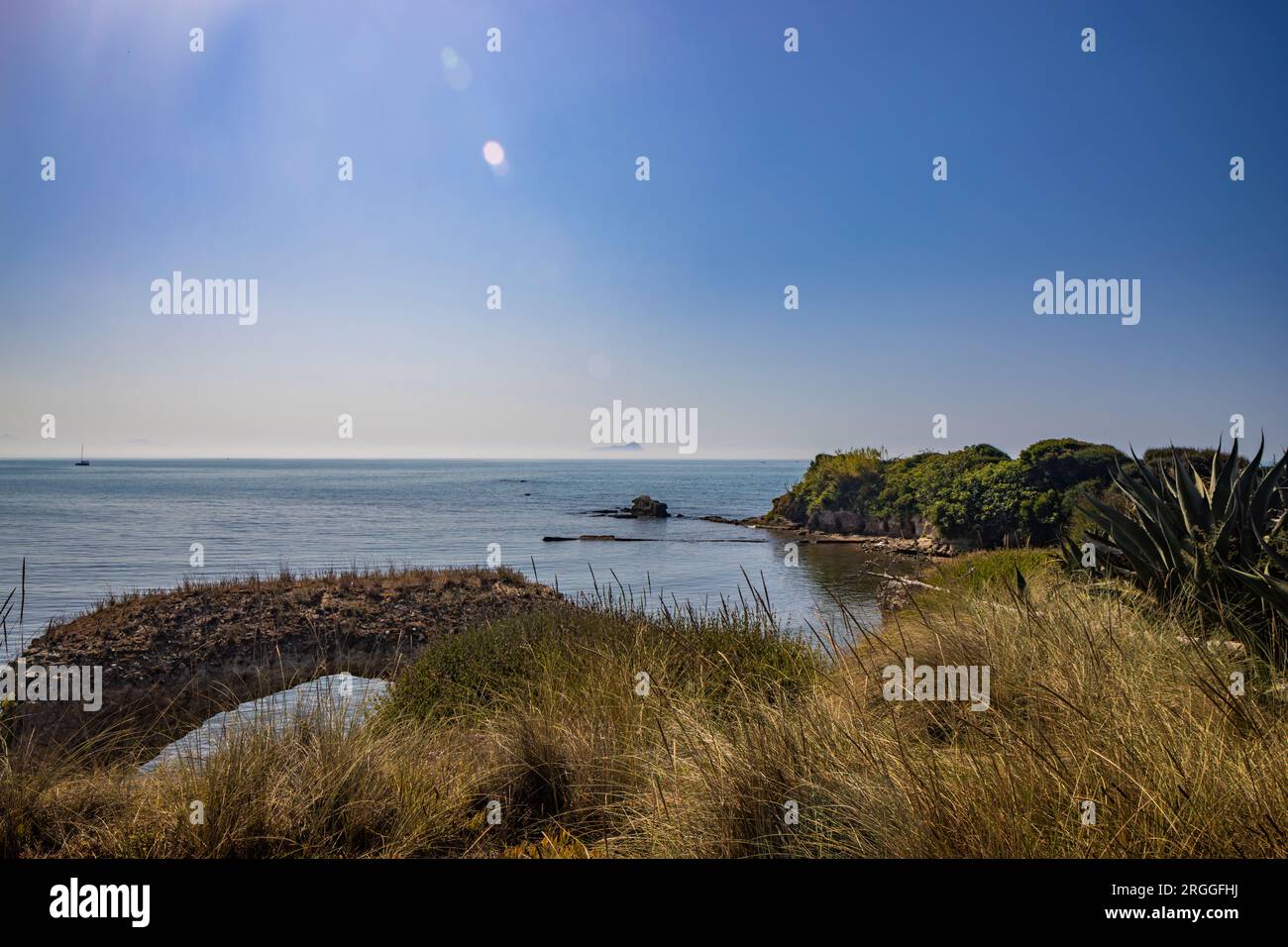 The Torre Astura nature reserve, in Nettuno. The large pine forest that leads to the beach with the remains of ancient Roman buildings. The Lazio coas Stock Photo